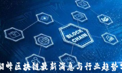 
张韶峰区块链最新消息与行业趋势分析