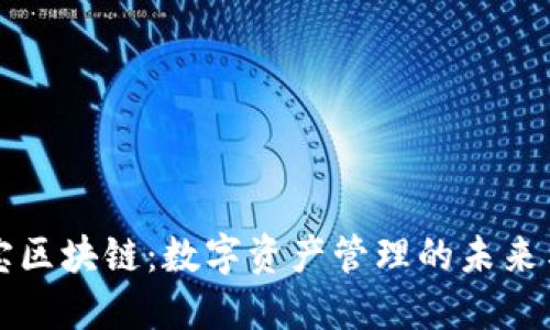 币付宝区块链：数字资产管理的未来与机遇