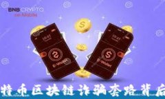 揭开比特币区块链诈骗套